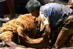 FOTOS (253) � IMAGEN FOTOGRAFIA